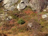 IMG_1752