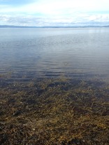 IMG_1161